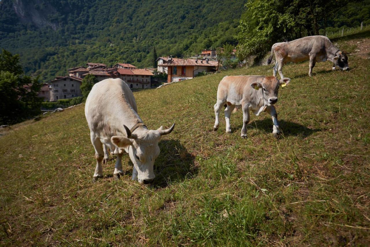 Le Terre Di Gu Βίλα Tenno Εξωτερικό φωτογραφία